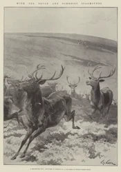 Med Devon och Somerset Staghounds